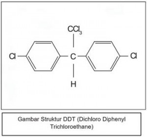 gambar struktur ddt