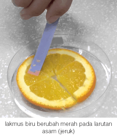 lakmus biru dengan air asam jeruk