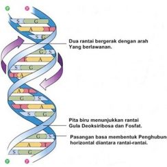 Lain-lain Archives - Page 3 of 23 - RumusHitung.Com